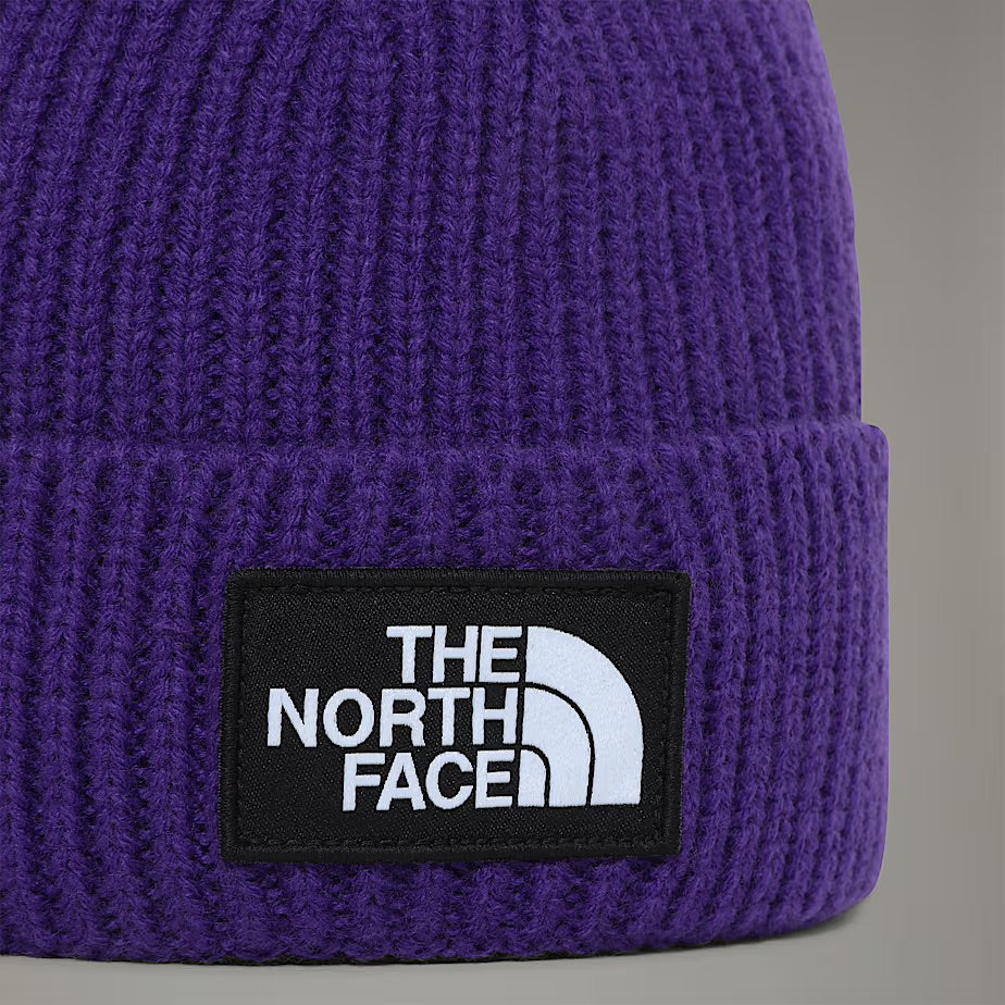 TNF Logo Box Cuffed Beanie